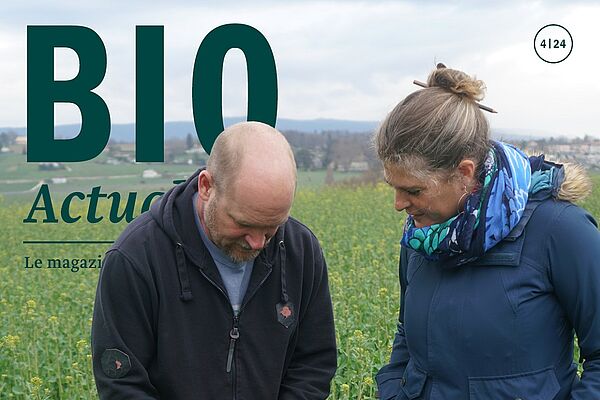 Page de couverture du Bioactualités 4|24: Un homme et une femme se tiennent dans un champ et observent les plantes de plus près.